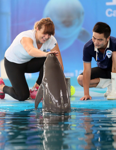 的过程将不 的过程将不